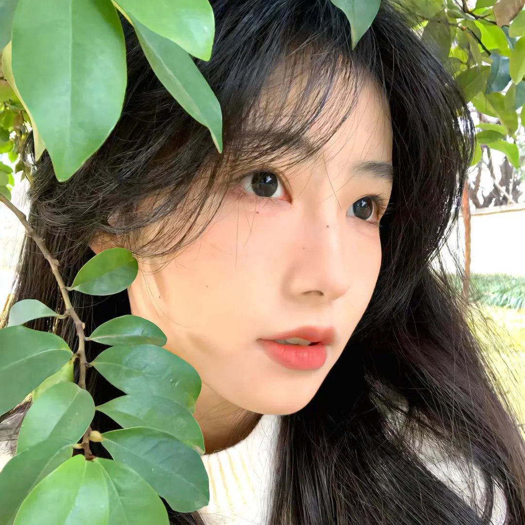 这个世界温柔的冷漠封面