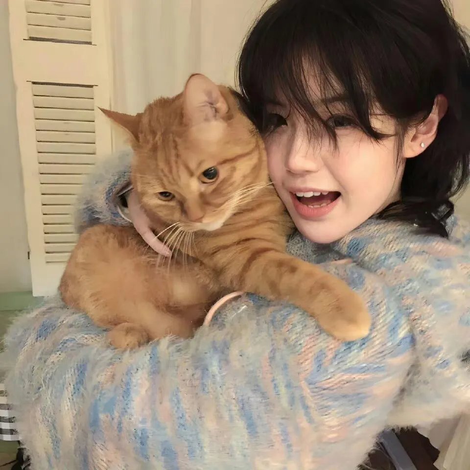 母亲的女友封面
