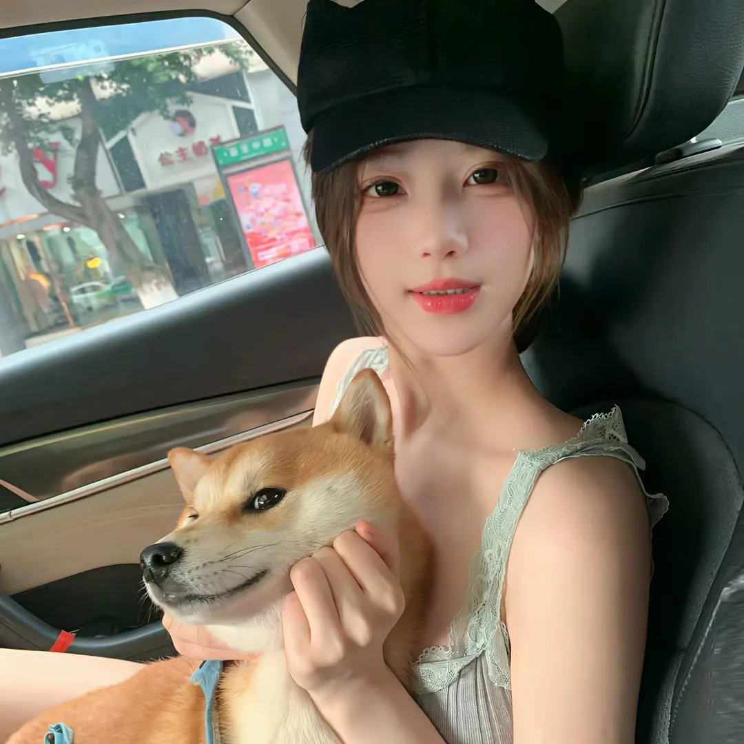 后备空姐封面